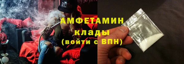 твердый Бородино