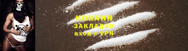 твердый Бородино