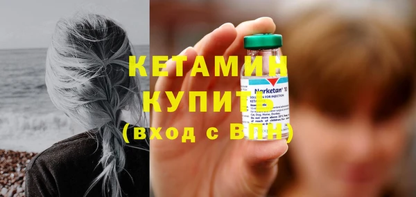 твердый Бородино