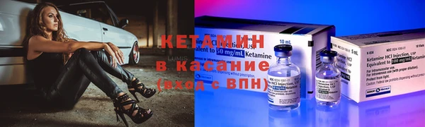 твердый Бородино