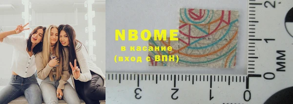 твердый Бородино