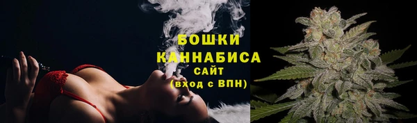 твердый Бородино