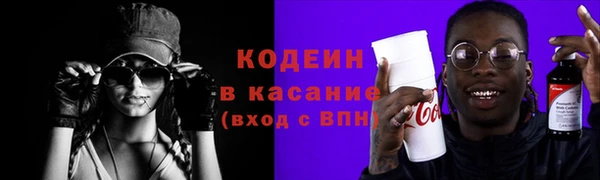 твердый Бородино