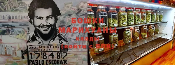 ГАЛЛЮЦИНОГЕННЫЕ ГРИБЫ Бронницы