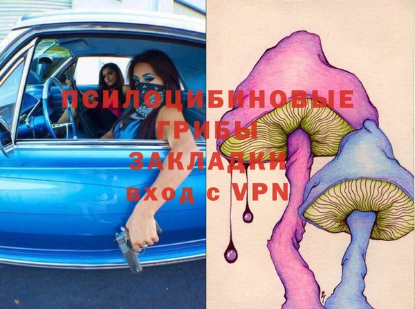 ГАЛЛЮЦИНОГЕННЫЕ ГРИБЫ Бронницы