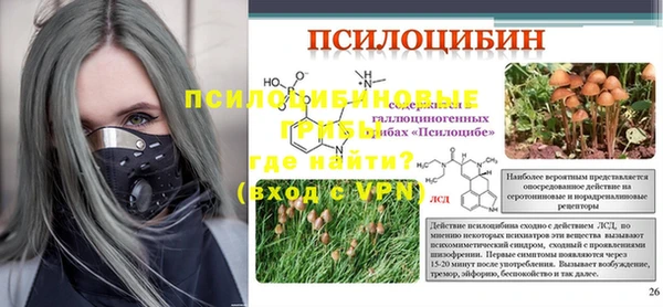 ГАЛЛЮЦИНОГЕННЫЕ ГРИБЫ Бугульма