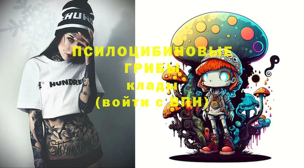 ГАЛЛЮЦИНОГЕННЫЕ ГРИБЫ Бронницы