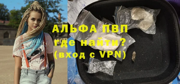 твердый Бородино