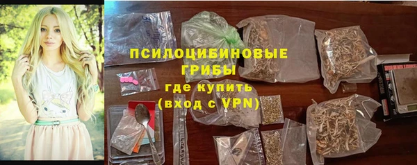 твердый Бородино