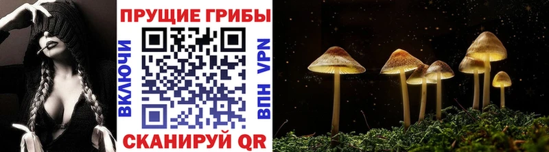 omg ТОР Афипский Псилоцибиновые грибы Magic Shrooms